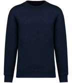 Native Spirit Crew Neck SweatShirt