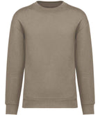 Native Spirit Crew Neck SweatShirt