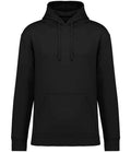 Native Spirit Relax Fit Hoodie