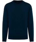 Native Spirit O/Sized Round Neck Sweat