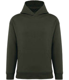 Native Spirit O/Sized Hooded Sweatshirt