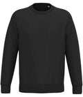 Native Spirit Unisex Round Neck Sweat
