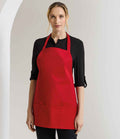 PR159 Red Model