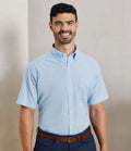 PR236 Light Blue Model