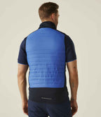 RG381 Strong Blue/Navy Model