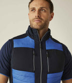 RG381 Strong Blue/Navy Model