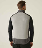 RG383 Mineral Grey/Ash Model