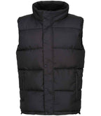 Regatta Northdale Insulated Bodywarmer