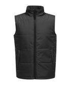 Regatta Access Bodywarmer