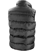 RS223 Black Back