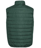 RS244 Bottle Green Back