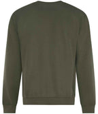 RX301 Khaki Back