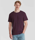 SS620 Dark Plum Model