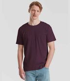 SS620 Dark Plum Model