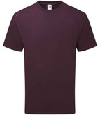 Fruit Loom Pure Cotton T
