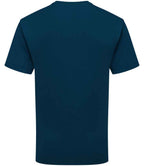 SS640 Mountain Blue Back