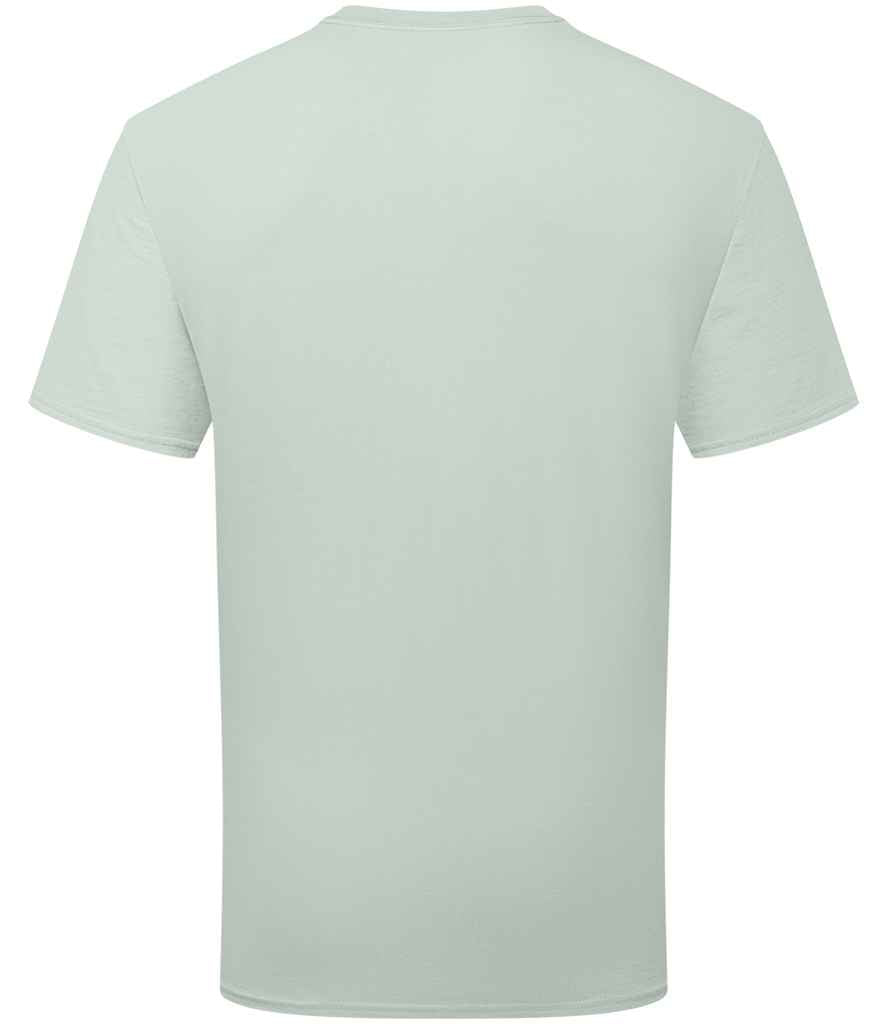 SS640 Sage Back