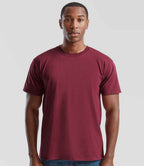 SS6 Burgundy Model
